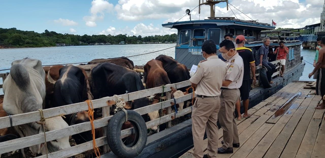pelabuhan telaga punggur