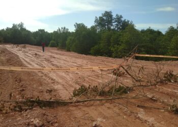 Lokasi penimbunan bakau disegel. (Foto: Bintang Hasibuan)