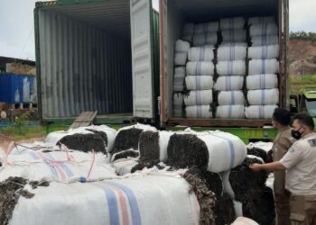 Petugas Stasiun Karantina Ikan, Pengendalian Mutu dan Keamanan Hasil Perikanan (SKIPM) Batam memeriksa rumput lait yang akan dikirim ke Jepang. (Foto: Fathur Rohim)