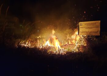 Kebakaran lahan kosong di simpang SMA Negeri 17 Batam, pada 21 Maret 2021. (Foto: Muhamad Ishlahuddin)