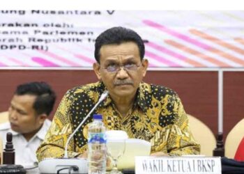 Richard Hamonangan Pasaribu, Anggota DPD RI sekaligus Wakil Ketua Badan Kerja Sama Parlemen (BKSP). (Foto: Arsip Narasumber)