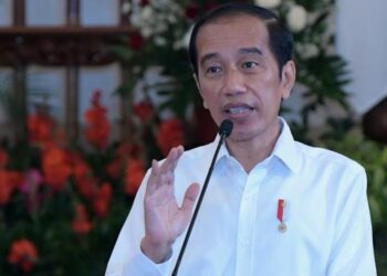 Presiden Joko Widodo saat memberikan arahan pada peresmian pembukaan Musyawarah Perencanaan Pembangunan Nasional (Musrenbangnas) Tahun 2021 di Istana Negara, Jakarta, Selasa, 4 Mei 2021. (Foto: Istimewa)