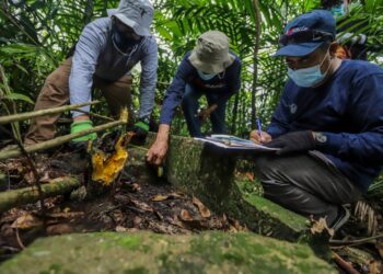 Tim TACB Batam Mendokumentasikan dan Mencatat Situs Sejarah Peninggalan Belanda di Pulau Boyan, Kecamatan Bulang, Kota Batam, Kepulauan Riau. (Foto: Tim TACB BATAM)