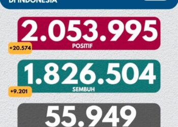 Data perkembangan Covid-19 di Indonesia Update 24 Juni 2021.