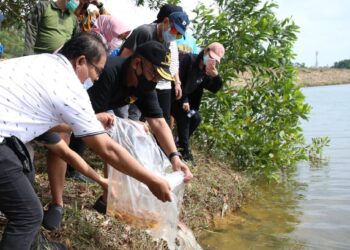 Proses pelepasan ribuan benih ikan di Waduk Sei Ladi. (Foto: Humas BP Batam)