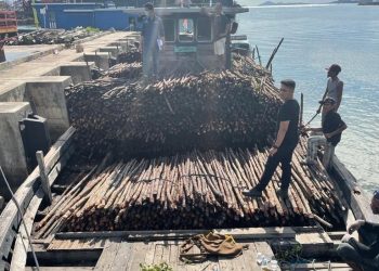 Barang bukti kapal dan kayu hasil tangkapan Bea Cukai Batam. (Foto: Humas Bea Cukai)