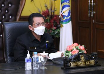 Gubernur Kepulauan Riau, Ansar Ahmad. (Foto: Ist)