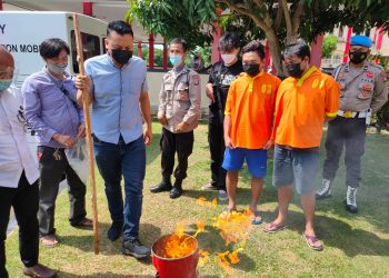 Pemusnahan ganja di Polda Kepri. (Foto: Humas Polda Kepri)