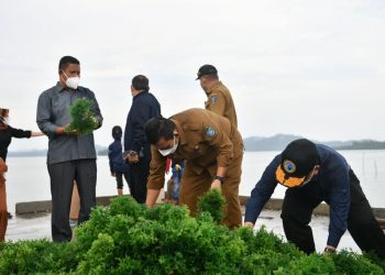 Ansar Ahmad saat memanen rumput laut di Pulau Jaga, Kecamatan Moro, Kabupaten Karimun. (Foto: Humas Pemprov)