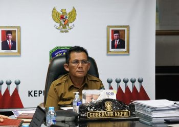 Gubernur Kepulauan Riau, Ansar Ahmad. (Foto: Ist)
