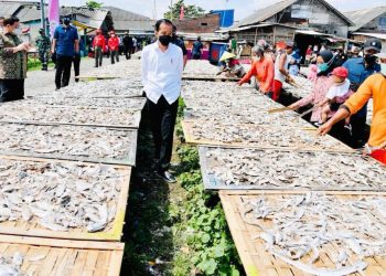 Presiden Joko Widodo juga melihat kegiatan usaha nelayan setelah meninjau vakninasi door to door di kampung nelayan di Cilacap.