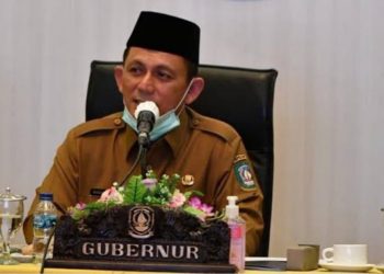 Gubernur Kepulauan Riau, Ansar Ahmad. (Foto: Ist).