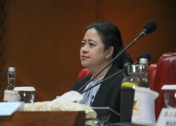 Ketua DPR RI, Puan Maharani. (Foto: Humas DPR-RI)