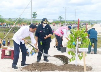 Presiden Joko Widodo didampingi Menteri LHK Siti Nurbaya menanam pohon di lokasi bekas penambangan di Kabupaten Sintang, Provinsi Kalbar, Rabu, 8 Desember 2021.