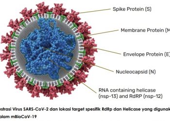 Varian Omicron terdeteksi oleh mBioCov-19. (Foto Ilustrasi: Biofarma)