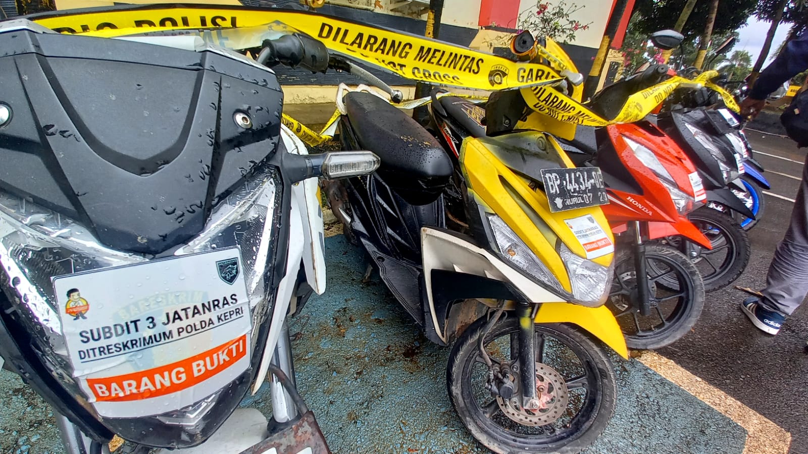 Sejumlah sepeda motor curian yang berhasil diungkap Subdit Jatanras Polda Kepri. (Foto: HMS/ Sarma).