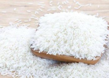 Ilustrasi beras. Presiden Jokowi peringatkan pemimpin daerah untuk hati-hati terhadap harga beras dan ketersediaannya. (Foto: Ist/ Dok.Kementan).