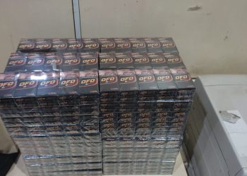 Bea Cukai Batam menindak ratusan ribu batang rokok ilegal, dan komoditi barang ilegal lainnya, dalam kurun waktu Januari hingga Februari 2023. (Foto: Ist/ Bea Cukai Batam).