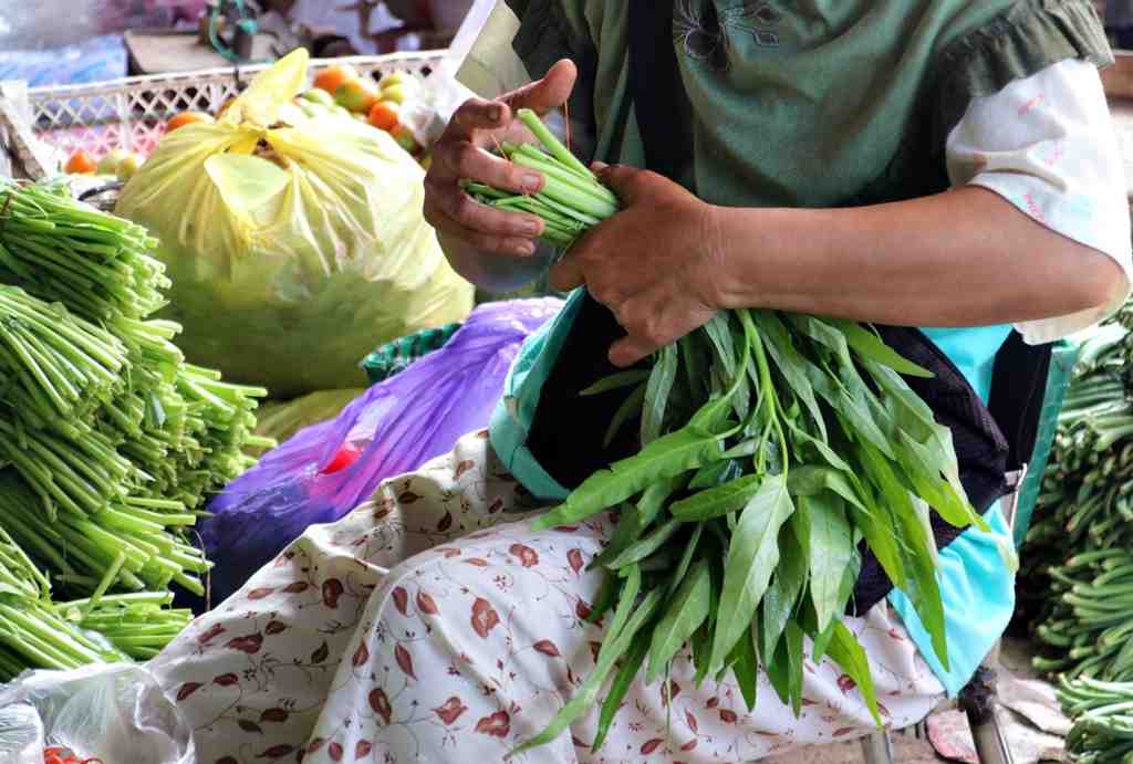 Kepri alami inflasi pada Februari 2023 yang dipengaruhi kenaikan harga sayuran, salah satunya kangkung. (Foto: Ist/ Dok.infopublik).