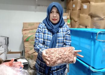 Dirut CV Rizqy Biokas Abadi, Beby Firda menunjukkan stok daging beku yang masih banyak tersedia, Kamis (02/023/2023). (Foto: HMS/ Paino).