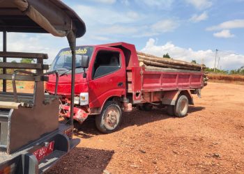 Barang bukti truk beserta sejumlah kayu yang turut diamankan Satreskrim Polres Bintan, bersama dua pelaku illegal logging. (Foto: Ist/ Dok.Polres Bintan).