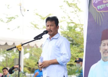 Kepala BP Batam, Muhammad Rudi. (Foto: Ist/ Humas BP Batam).