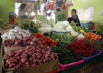 Bapanas memastikan stok pangan nasional relatif aman jelang Lebaran. (Foto: Dok.HMS).