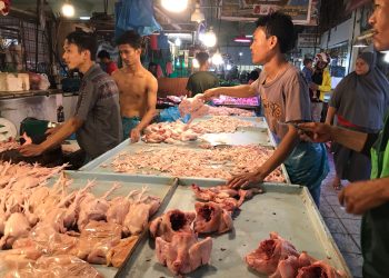 Suasana di pasar Botania 2, Kamis, 22 Juni 2023. (Foto: Irvan Fanani)