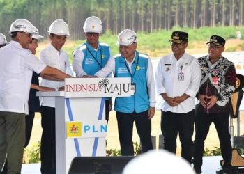 Presiden Jokowi (dua dari kiri)  bersama sejumlah pejabat menteri dan pimpinan PLN ketika melakukan peletakan batu pertama PLTS IKN di Kawasan IKN, Provinsi Kalimantan Timur, Kamis, 2 November 2023. (Foto: Ist./presidenri.go.id).