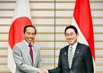 Presiden Jokowi dan PM Jepang Fumio Kishida melakukan pertemuan bilateral di Tokyo (Foto: Ist./Biro Pers Sekretariat Presiden).