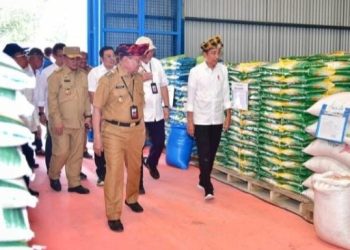 Presiden Joko Widodo (kanan) saat mengunjungi Kompleks Pergudangan Bulog Laende di Kabupaten Muna, Provinsi Sulawesi Tenggara pada Senin, 13 Mei 2024.(Foto: Ist./presidenri.go.id).