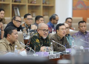 Plh. Wakil Kepala BP Batam, Purwiyanto menghadiri Persidangan Rapat Dengar Pendapat Komisi VI DPR Ri di Senayan, Rabu, 6 November 2024. (Foto: Humas BP).