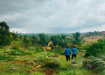 Saat Ditpam BP Batam menertibkan lahan di Tanjung Banun, Rempang Eco-City. (Foto: Humas BP).