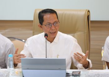 Kepala BP Batam/Wali Kota Batam Amsakar Achmad terima kunjungan PMA asal Uni Emirat Arab. (Foto: Humas BP).