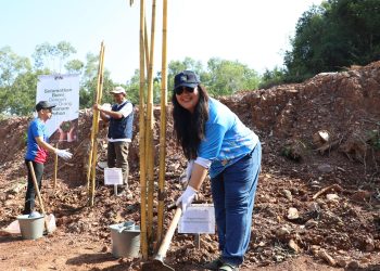 Anggota/Deputi Bidang Pelayanan Umum, Ariastuty Sirait bersama PT TDK Electronics tanam200 pohon bambu di bendungan Sei Harapan. (Foto: Humas BP).