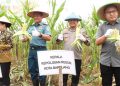 Prosesi panen raya jagung secara simbolis oleh polresta Barelang. (Foto: Humas Polresta).