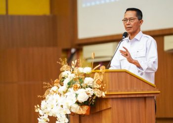 Kepala BP Batam sekaligus Wali Kota Batam, Amsakar Achmad. (Foto: Humas BP).