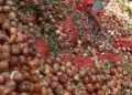 Bawang merah dan bombay yang terbuang di daerah Tanjung sengkuang, Batu Ampar. (Foto: Gultom./ HMS).