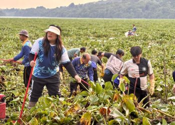 Anggota/Deputi Bidang Pelayanan Umum, Ariastuty Sirait bersama team BP Batam turun bersihkan eceng gondok di dam Duriangkang. (Foto: Humas BP).