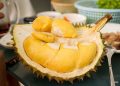Durian yang sudah terbuka dapat langsung dikonsumsi atau disimpan di wadah tertutup untuk menjaga rasa dan tekstur. (Foto: Ist./ canva.com).