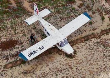 Pesawat yang mendarat darurat di persawahan wilayah Karawang pada Jumat, 21 November 2025 (Foto: Ist./ detikJabar).