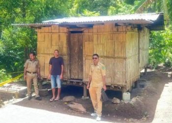 Gubuk sangat sederhana tempat tinggal YBS dan neneknya. (Foto: Ist./© Tribun Flores).