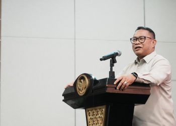 Anggota/Deputi Bidang Investasi dan Pengusahaan BP Batam, Fary Francis. (Foto: Humas BP).