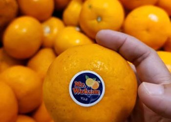 Jeruk Mandarin yang dipasarkan melalui market place. (Foto: Ist./ blibli.com).