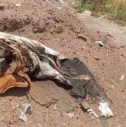 Limbah B3 yang dibuang di wilayah PT JMB. (Foto: berindonews.com).