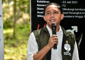 Menteri Kehutanan (Menhut) Raja Juli Antoni.  (Foto: Ist./ cnnindonesia.com)