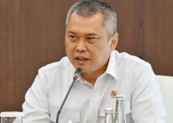 Menteri Perhubungan (Menhub), Dudy Purwagandhi. (Foto: Ist/ monitor-indonesia.com).