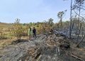 Hutan lindung yang terbakar akibat kemarau panjang di kawasan waduk Nongsa. (Foto: Humas BP).
