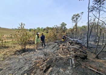 Hutan lindung yang terbakar akibat kemarau panjang di kawasan waduk Nongsa. (Foto: Humas BP).