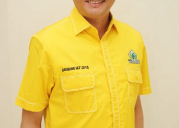 Ketua Komisi XII DPR RI, Bambang Patijaya. (Foto: Ist./Wikipedia).